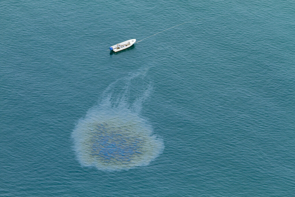 Gulf Oil Spill: Questions and Answers